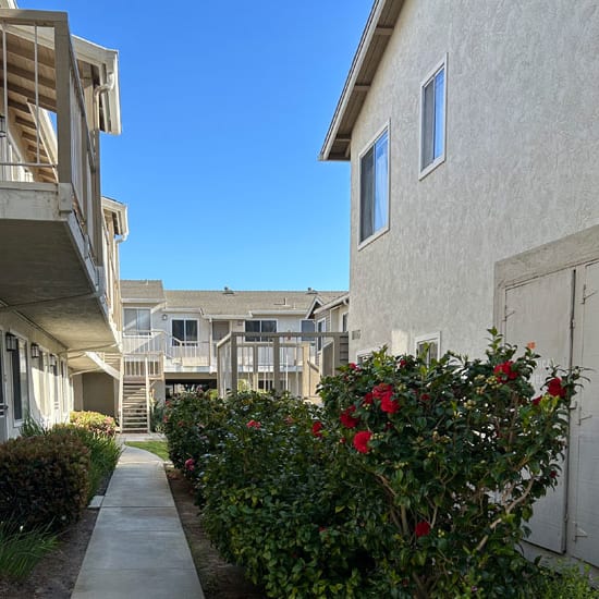 a walkway lined with shrubs and bushes in front of an apartment complex