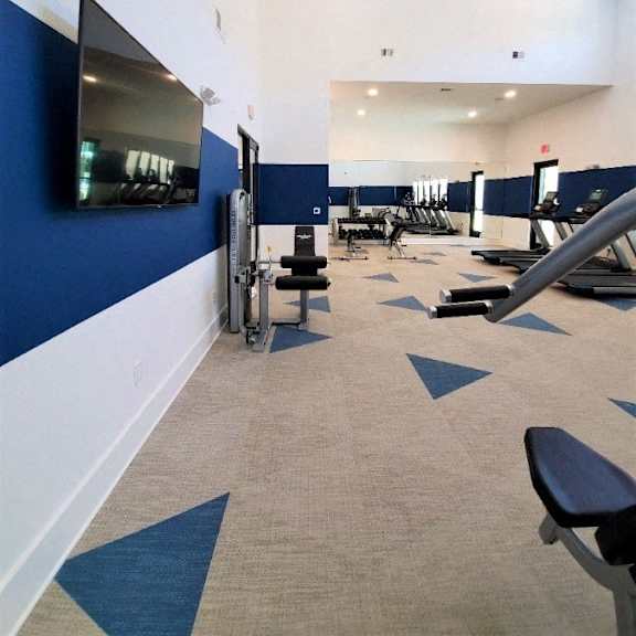 A gym with blue walls and a variety of equipment.
