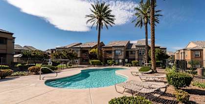 A swimming pool surrounded by palm trees and residential houses.