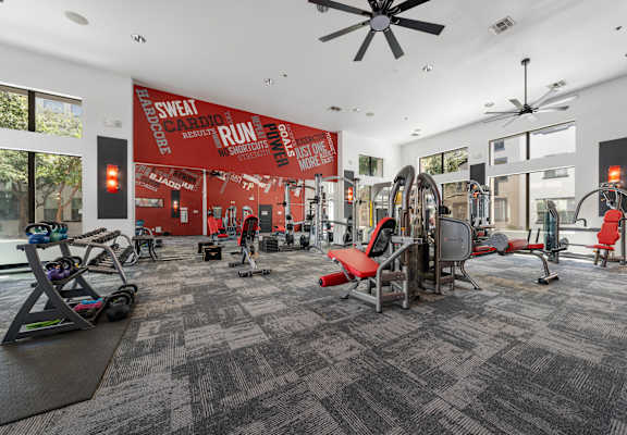 A gym with a variety of equipment including treadmills, stationary bikes, and weight machines.