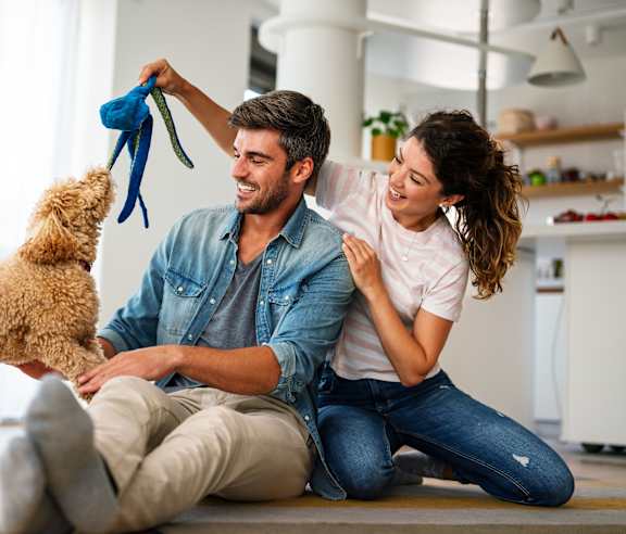 A man and woman are playing with a dog in a bright room.