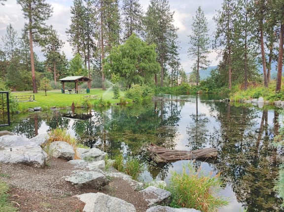 A serene pond surrounded by trees and a small pavilion.