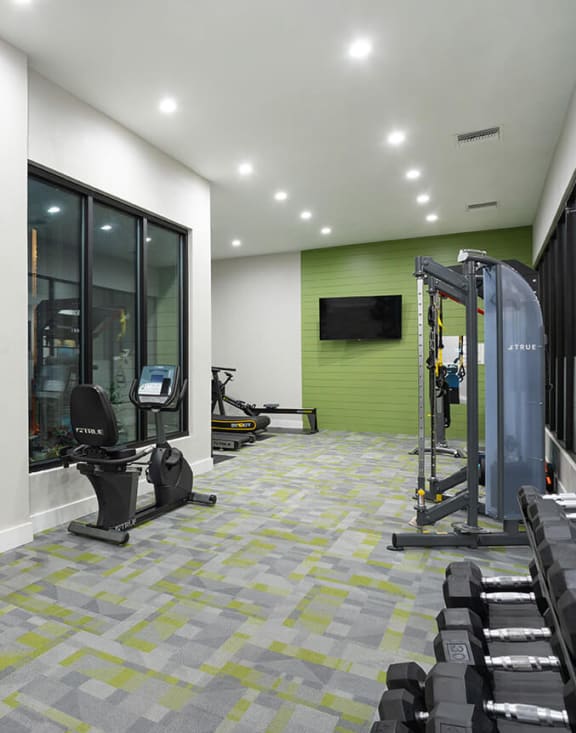 Community Fitness Center with Equipment at Haven at Water's Edge Apartments in Tampa, FL-MEDAM.