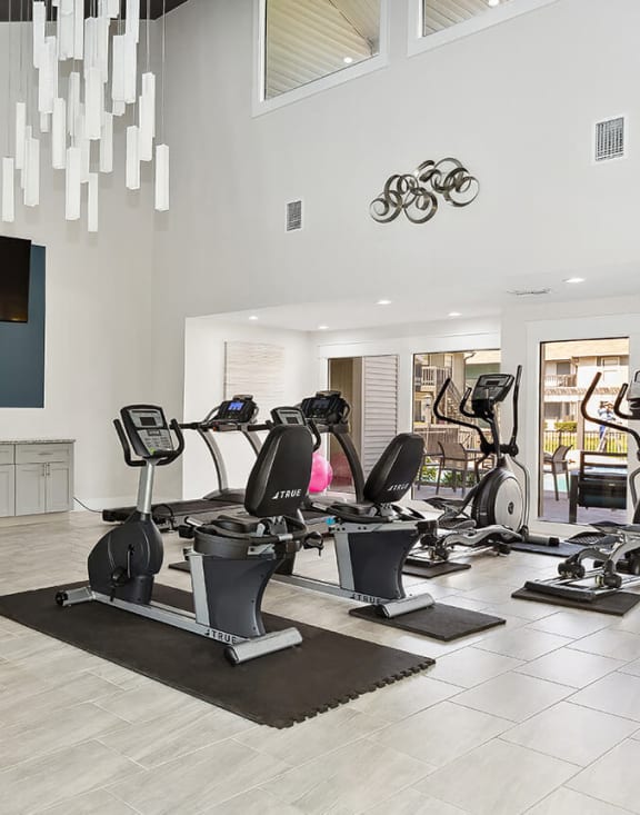 Community Fitness Center with Equipment at Seven Lakes at Carrollwood Apartments in Tampa, FL