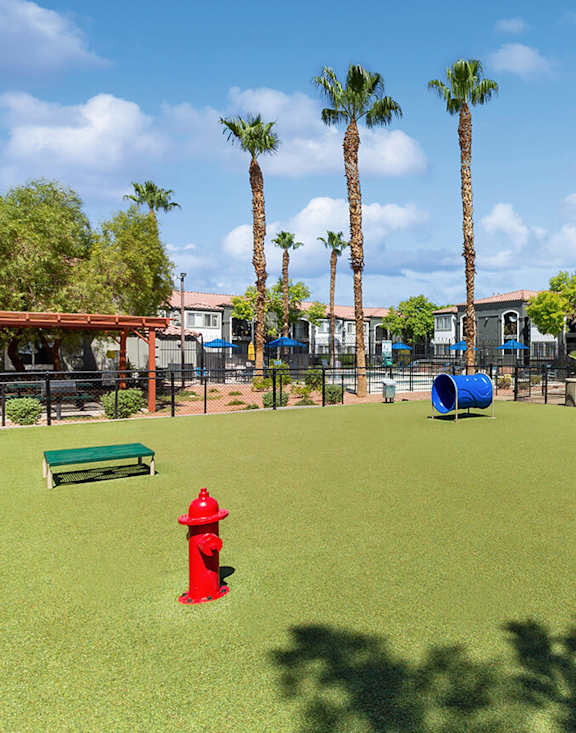 Community Dog Park at Loma Vista Apartments located in Las Vegas, Nevada.