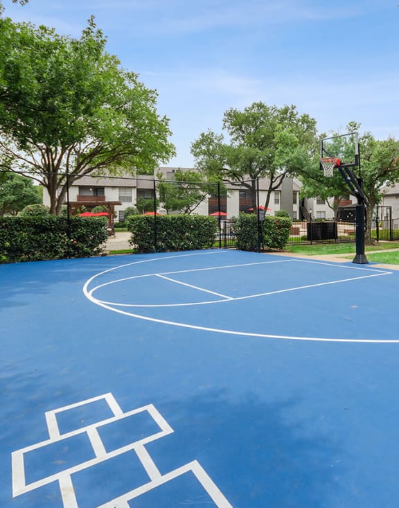 Sport courts at Aspen Court Apartments in Arlington, Texas