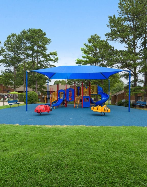 Community Playground with Slides and Blue Canopy at Spring Forest Apartments in Raleigh, NC-MEDAM.