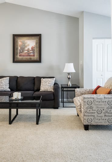 Carpeted Living Room with Light Grey Walls