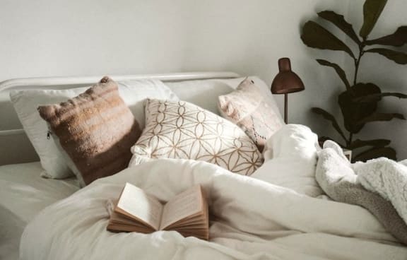 a bed with pillows and a book on it and a lamp and fiddle leaf fig in a corner
