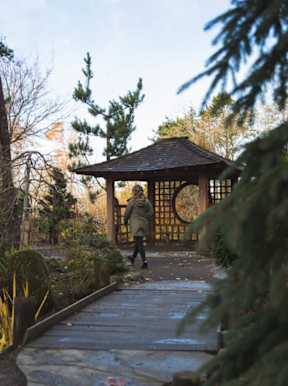 A person is walking towards a gazebo in a park.