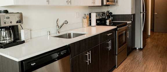 Apartments for Rent Seattle, WA - Apartment Entryway to Kitchen with Stainless Appliances, Modern Cabinetry, and Hardwood Flooring at Icon Apartments, Washington, 98104