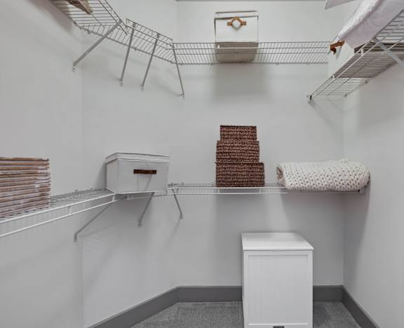 Apartment Spacious Walk In Closet with Shelves
