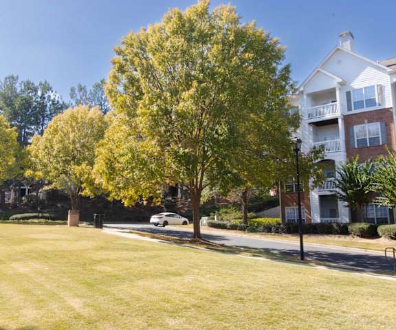 A tree with yellow leaves is in the foreground of a grassy area. at The Crest at Sugarloaf, Lawrenceville, GA, 30044