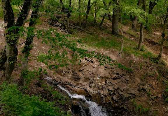 A small waterfall flows through a forest of trees.
