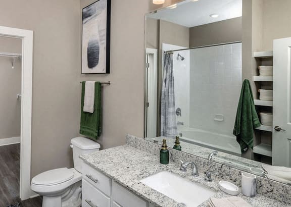 a bathroom with a sink and a toilet and a mirror at Fairview Springs in Covington, GA, 30016