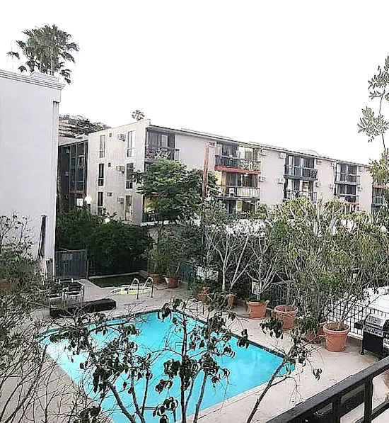 A pool surrounded by potted plants and trees in a courtyard.