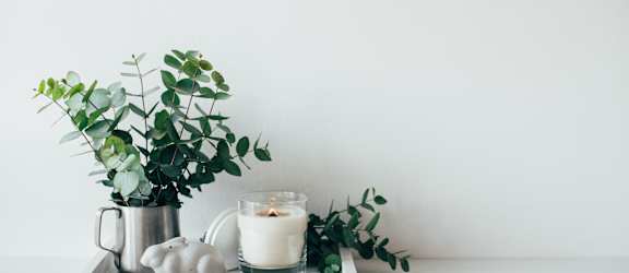 A living room with a grey couch, a round table, and a potted plant.