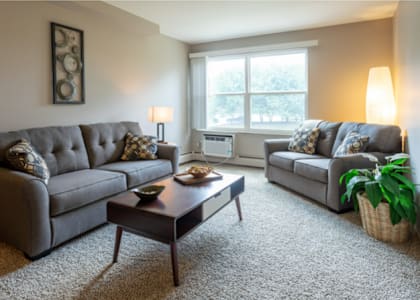 A living room with a grey couch, a coffee table, and a plant.