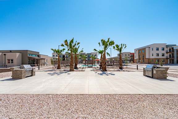 A sunny day at a courtyard with palm trees and buildings in the background.