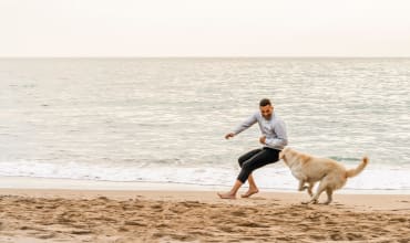a man playing with his dog on the beach