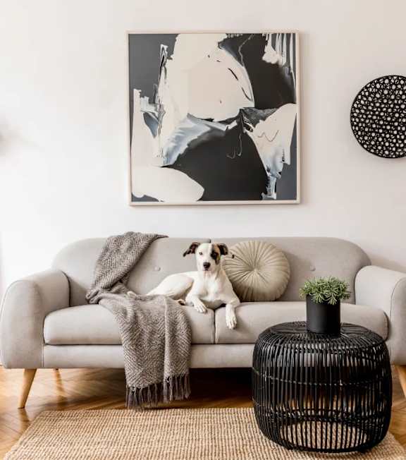 A dog is sitting on a grey couch with a grey blanket.