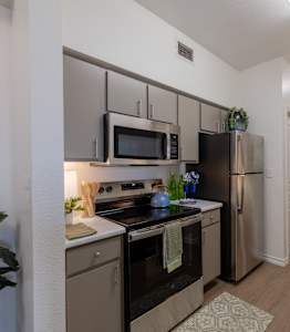 A kitchen with a countertop and a plant on it.