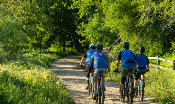 a group of people riding bikes down a dirt trail
