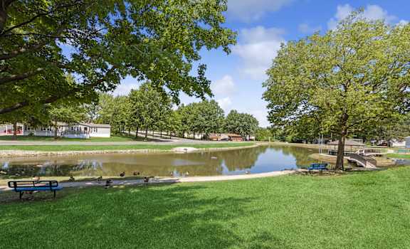 A park with a pond, trees, and a bench.