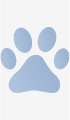 A blue paw print on a white background.