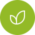 a green background with a leaf in the middle of it