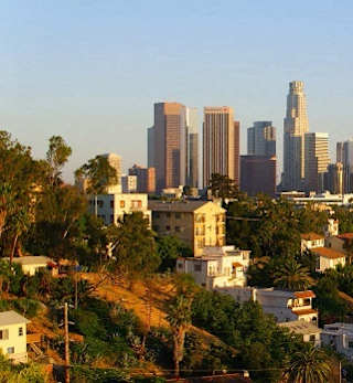 the city with palm trees and buildings