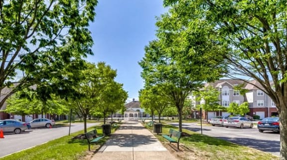a city street with trees and cars parked at Windsor Crossing Senior, Suitland, MD 20746