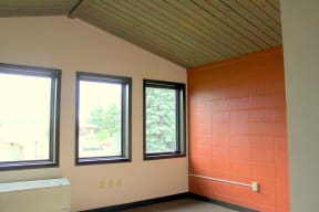 interior roof and windows