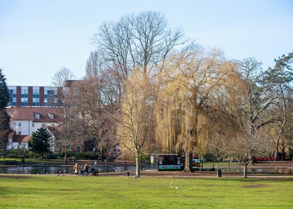 a park with a lake and trees and a bus