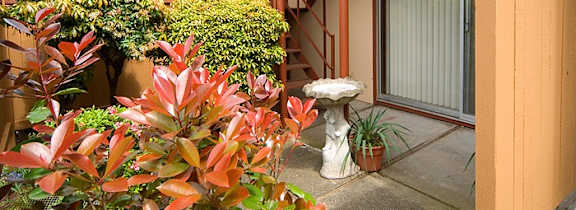Small shrub with Screened Balcony at Julie Ann, Portland, OR, 97215
