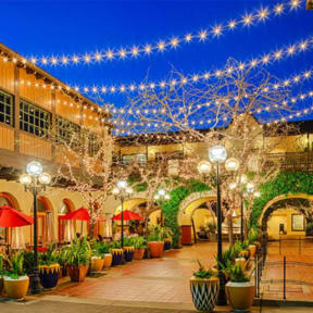 the courtyard at night with christmas lights and plants
