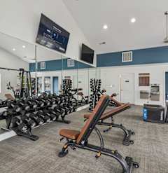 A gym with a variety of equipment including a squat rack, bench, and weights.