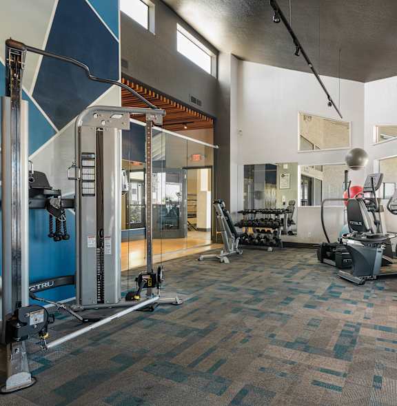 A gym with a variety of equipment including treadmills, weights, and exercise machines.