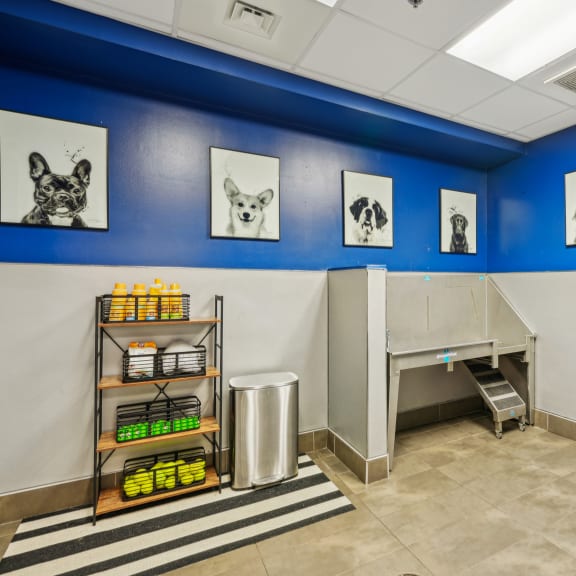 a veterinary exam room with a exam table and a blue wall with pictures of dogs