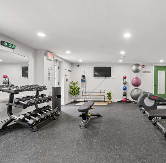 A gym with treadmills, exercise balls, and weights.