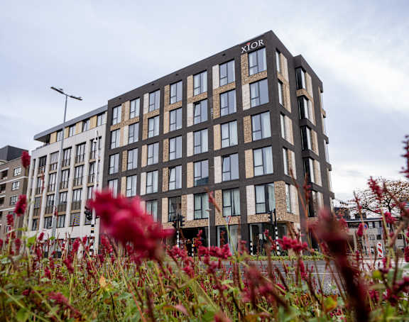 A building with the word "XLOR" on it is surrounded by red flowers.