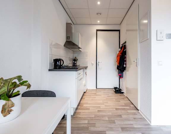A kitchen with a table and a potted plant on it.