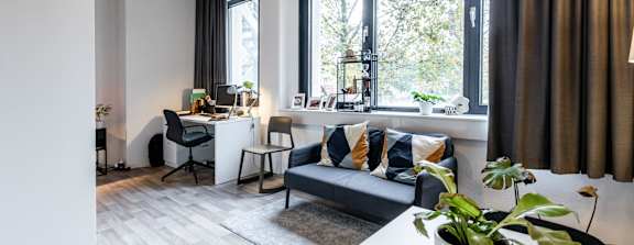 A living room with a couch, a desk, and a potted plant.