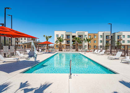 A swimming pool surrounded by sun loungers and palm trees.