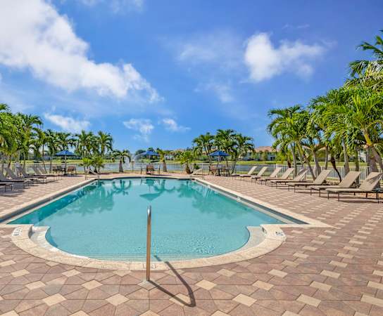 A large outdoor swimming pool surrounded by palm trees.