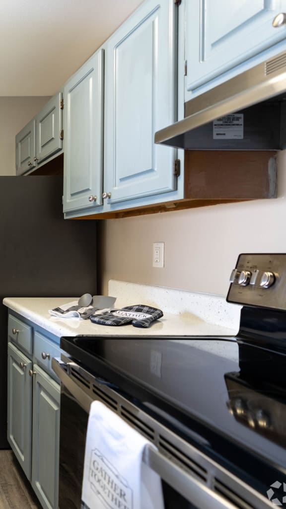 a kitchen with stainless steel appliances and blue cabinets at Aqua Bay Apartments in Naples, FL 34116
