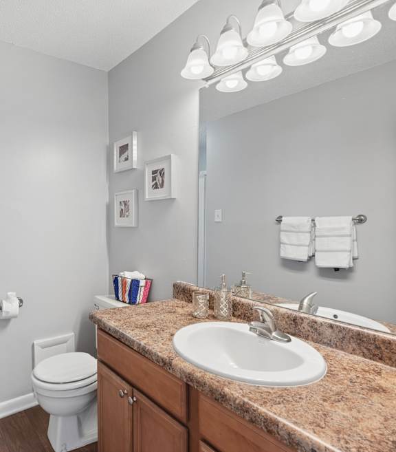 A bathroom with a white toilet, sink, and mirror. at Emory Woods, North Carolina