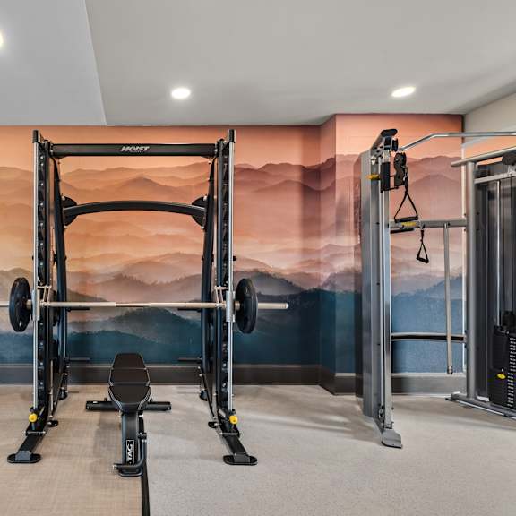 A gym with a wall mural and various exercise equipment.