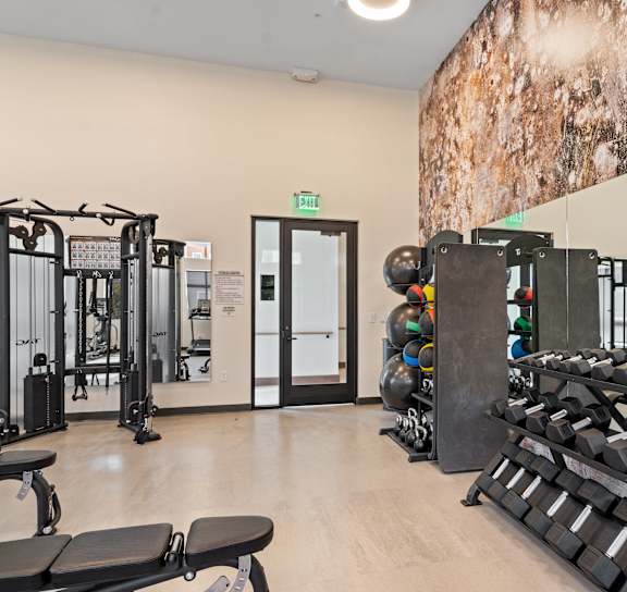 A gym with a variety of equipment including treadmills, weights, and exercise machines.