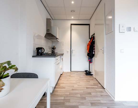 A kitchen with a table and a potted plant on it.